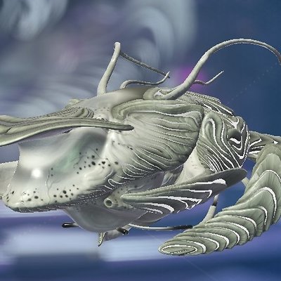 seed image