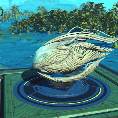 seed image
