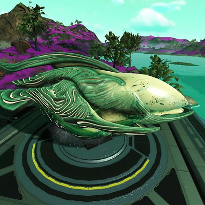 seed image
