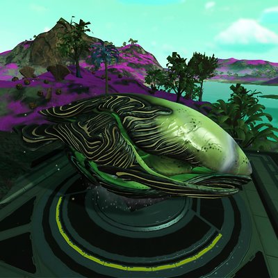 seed image