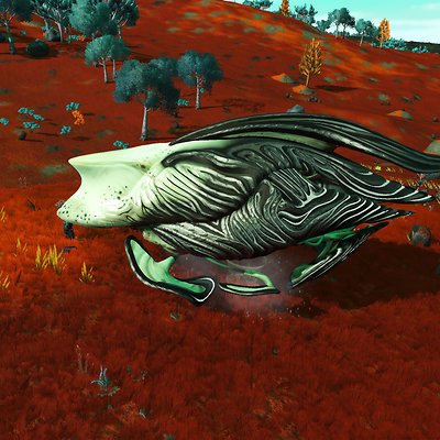 seed image