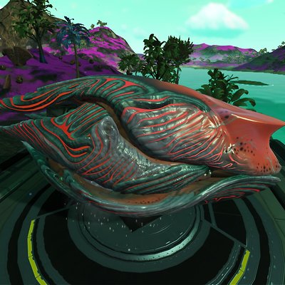 seed image
