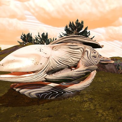 seed image