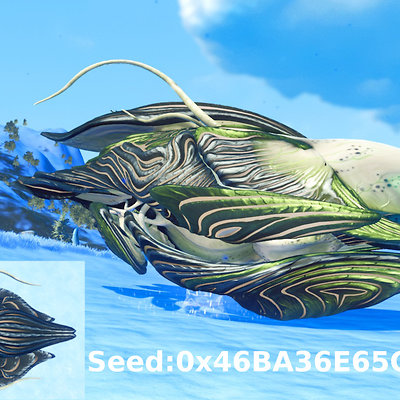 seed image
