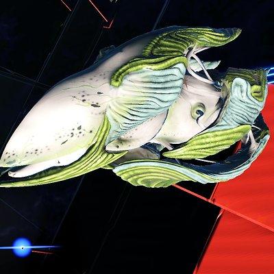 seed image