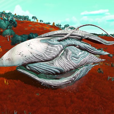 seed image