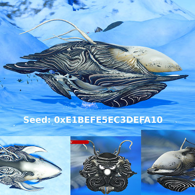 seed image