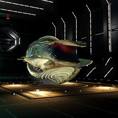 seed image
