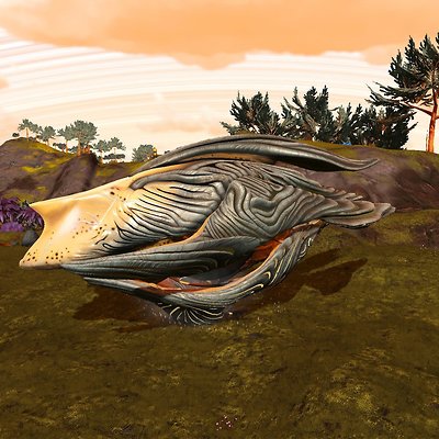 seed image