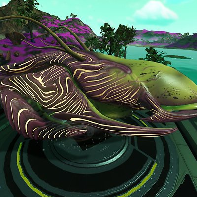 seed image