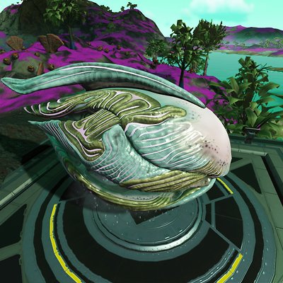 seed image