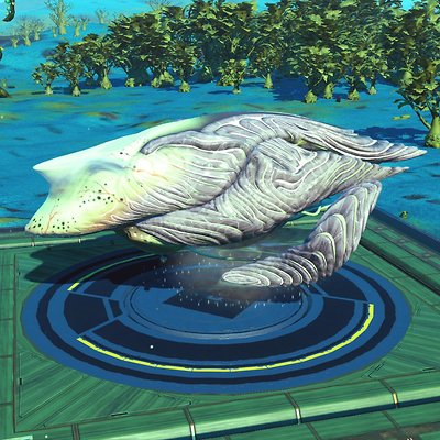 seed image