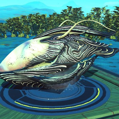 seed image