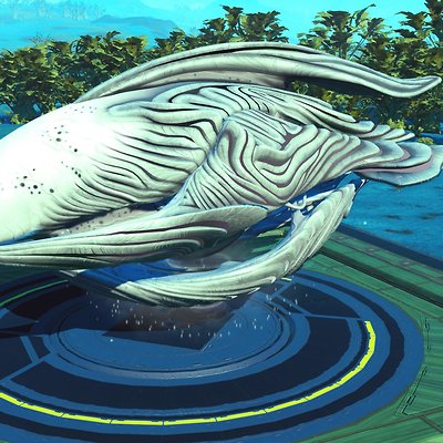 seed image