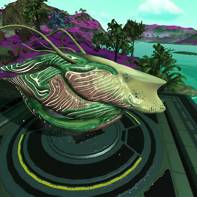 seed image