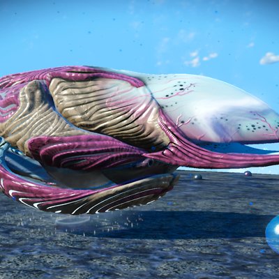 seed image