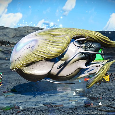 seed image
