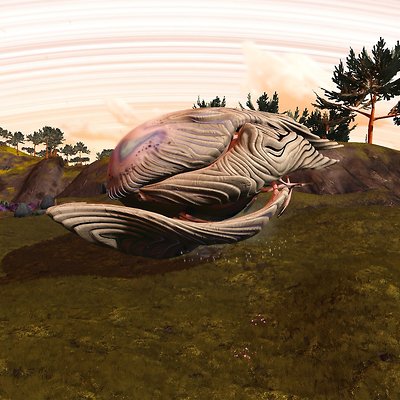 seed image