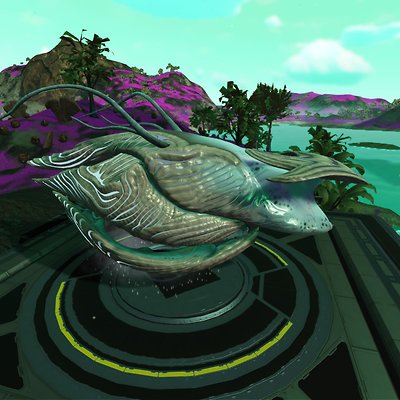 seed image