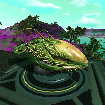 seed image