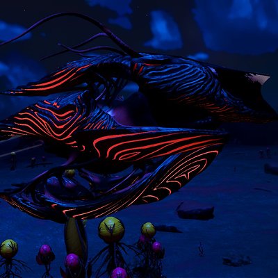 seed image