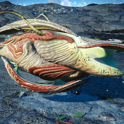 seed image