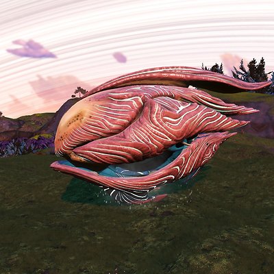 seed image
