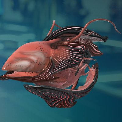 seed image
