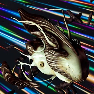 seed image