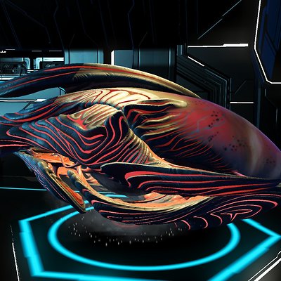 seed image