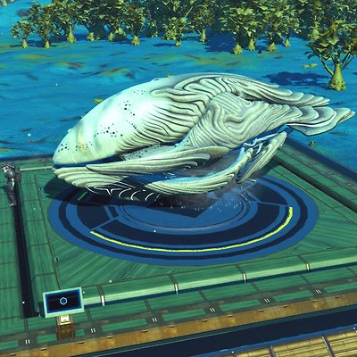 seed image