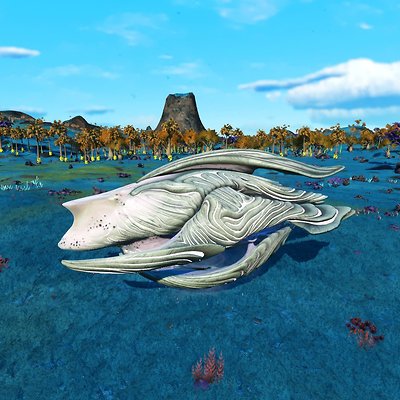 seed image