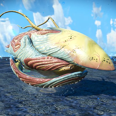 seed image