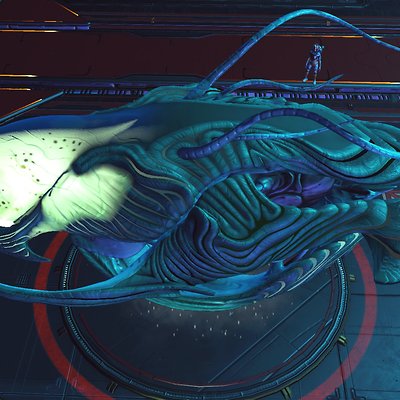 seed image
