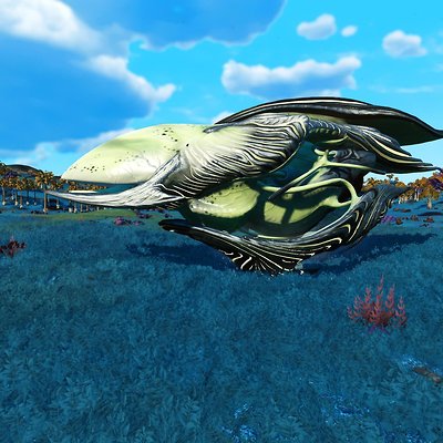 seed image