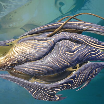 seed image