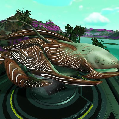 seed image