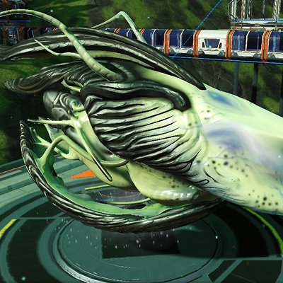 seed image