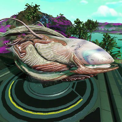 seed image