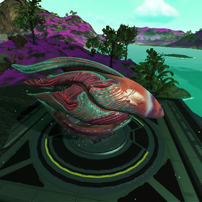seed image