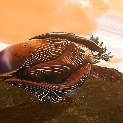 seed image