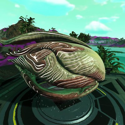 seed image