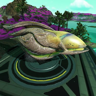 seed image