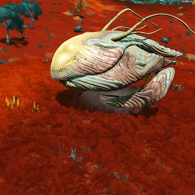seed image
