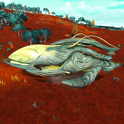 seed image
