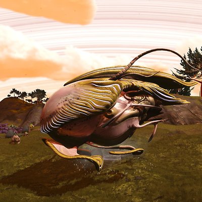 seed image