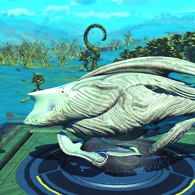 seed image