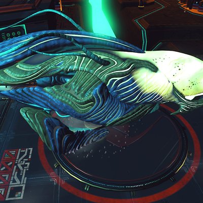 seed image