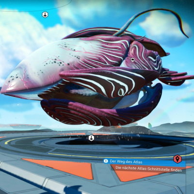 seed image