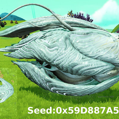 seed image